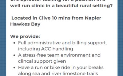 Chiropractor – Hawkes Bay – Welling Point Healthcare