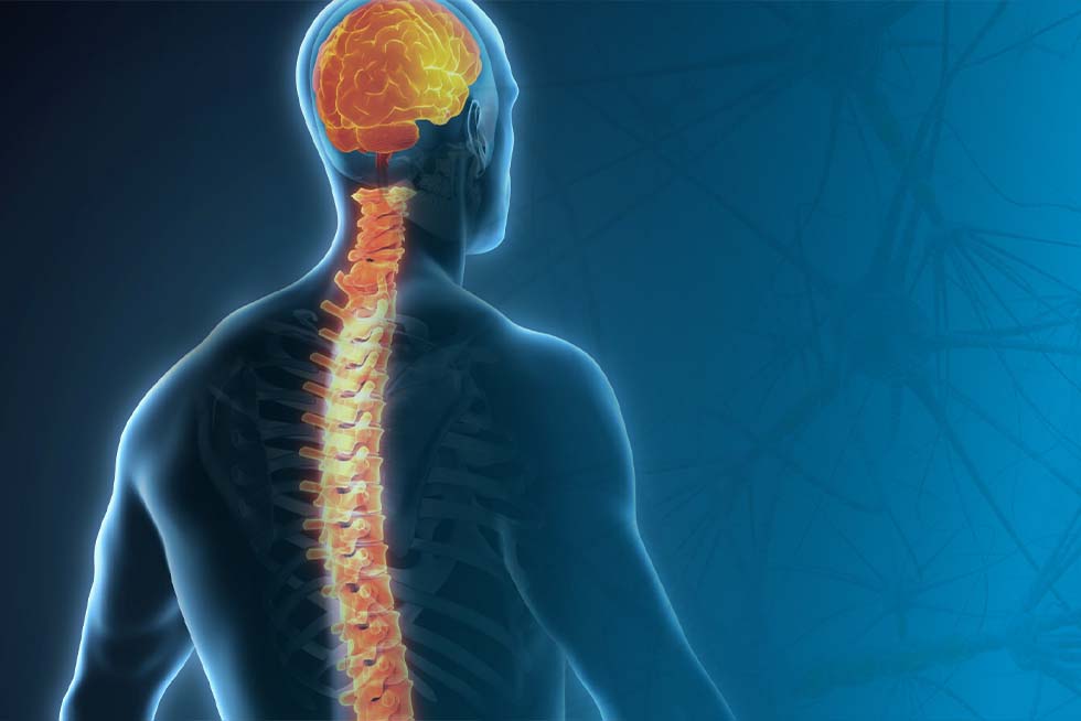 Chiropractic Research - New Zealand College of Chiropractic