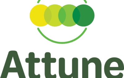 Attune Chiropractic, Lower Hutt